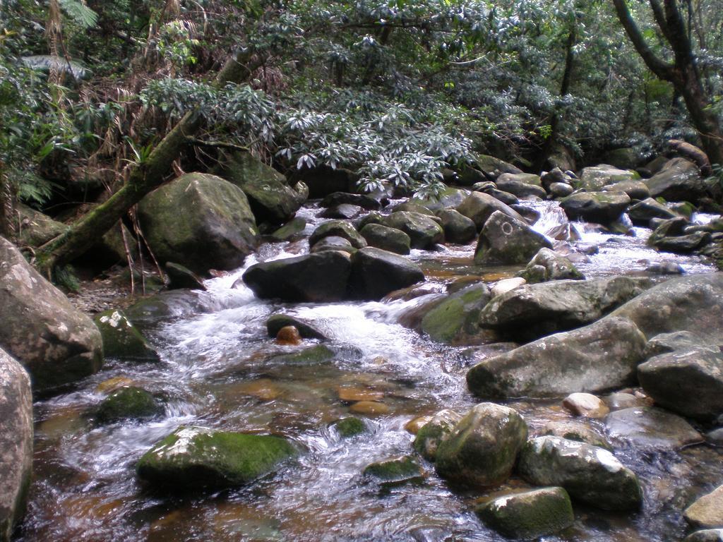 Daintree Village Hideaway Exterior photo