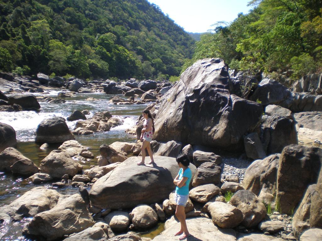 Daintree Village Hideaway Exterior photo