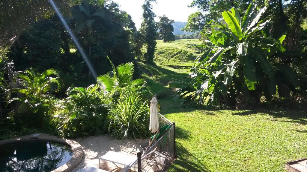 Daintree Village Hideaway Exterior photo