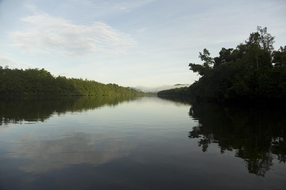 Daintree Village Hideaway Exterior photo