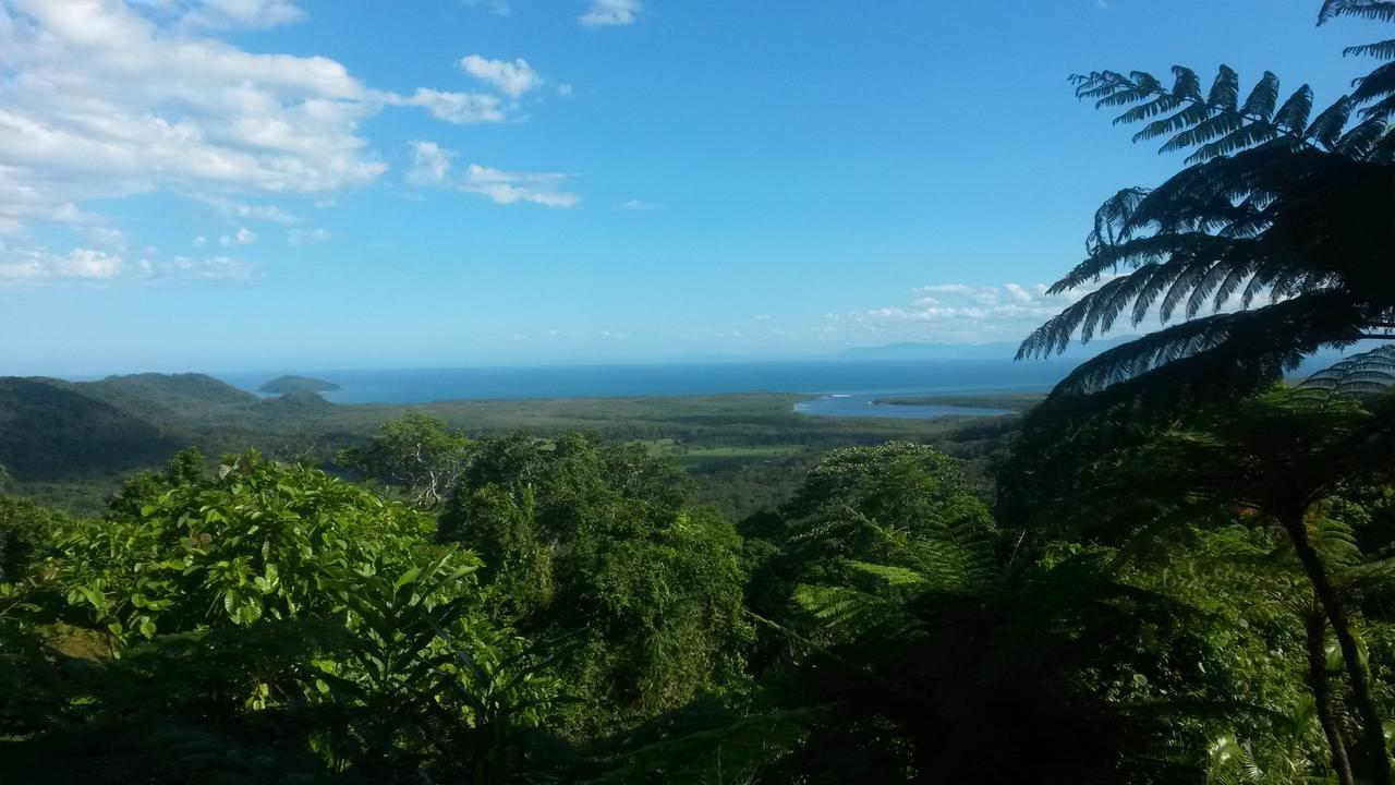Daintree Village Hideaway Exterior photo