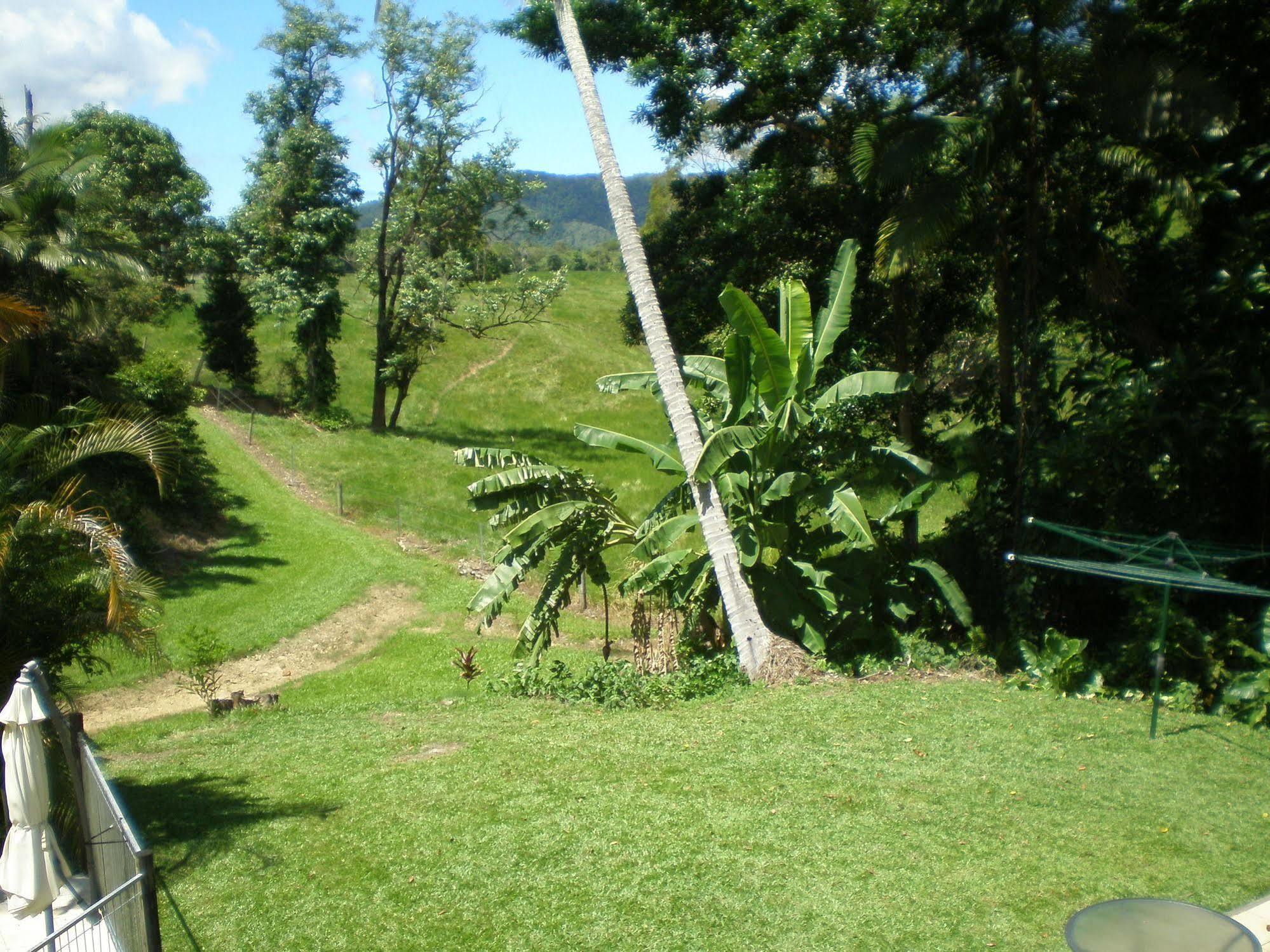 Daintree Village Hideaway Exterior photo