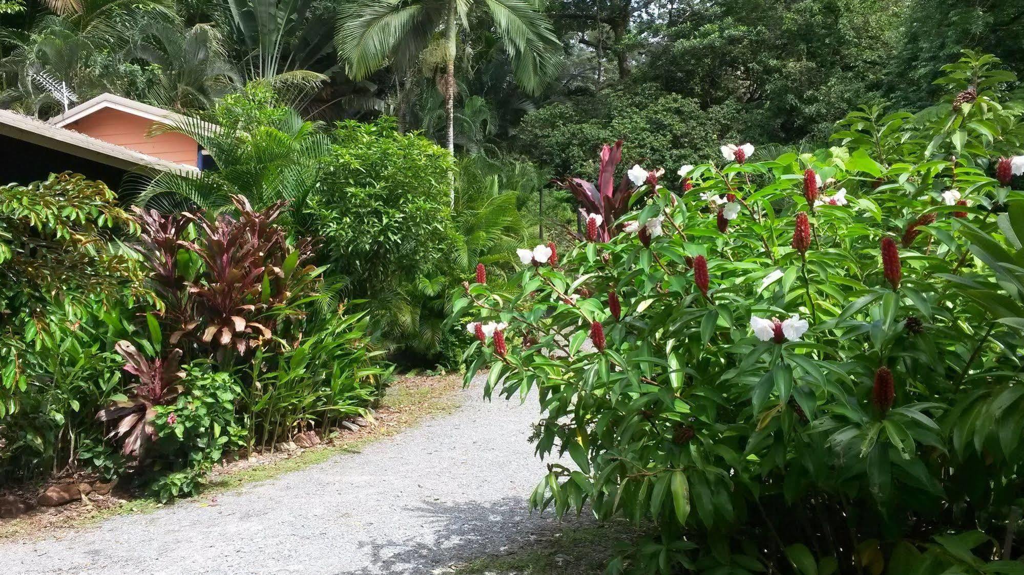 Daintree Village Hideaway Exterior photo